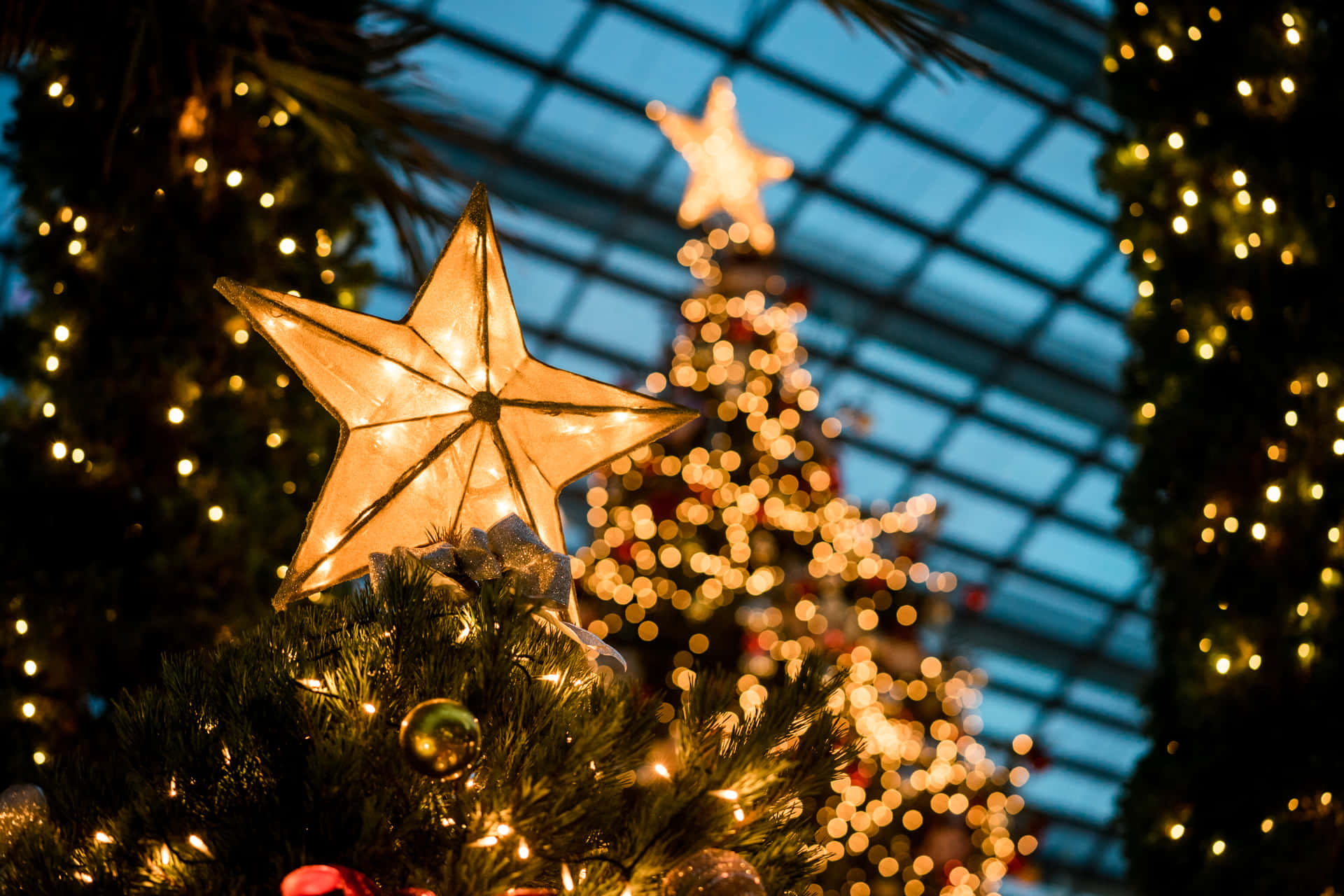 Celebrate The Joy Of Christmas With A Beautiful Star