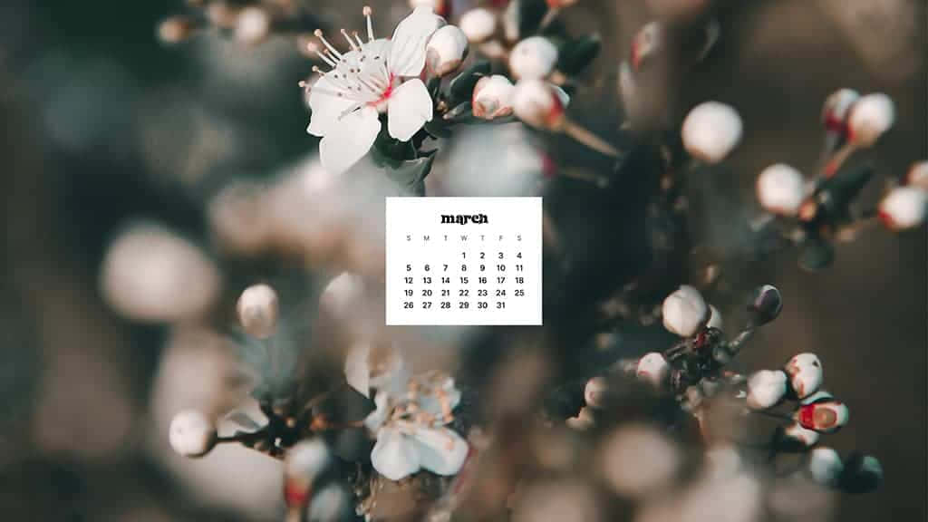 Celebrate The Joy Of Spring With This Beautiful Desktop Wallpaper Background