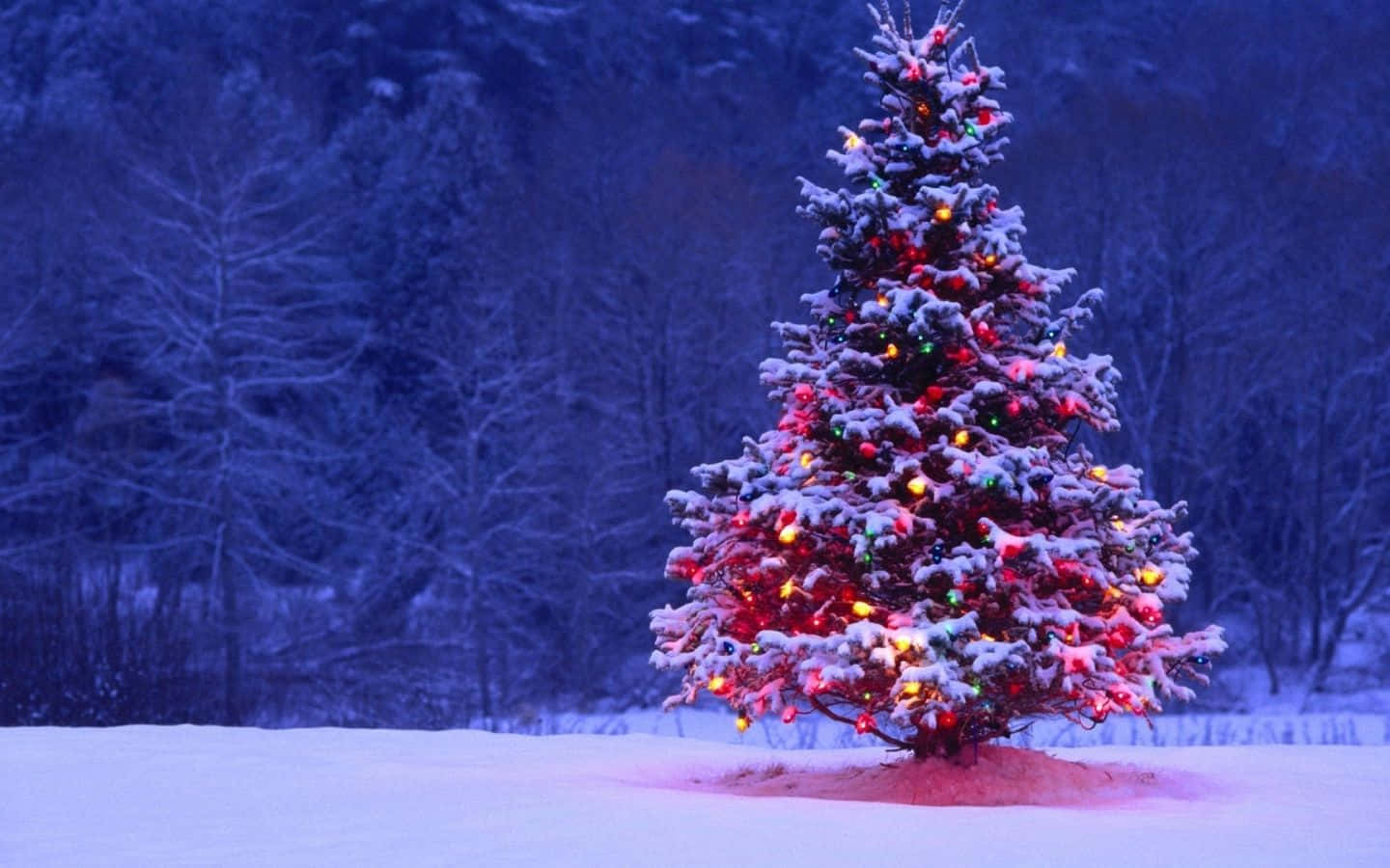 Celebrate The Magic Of Christmas With A Cool Christmas! Background