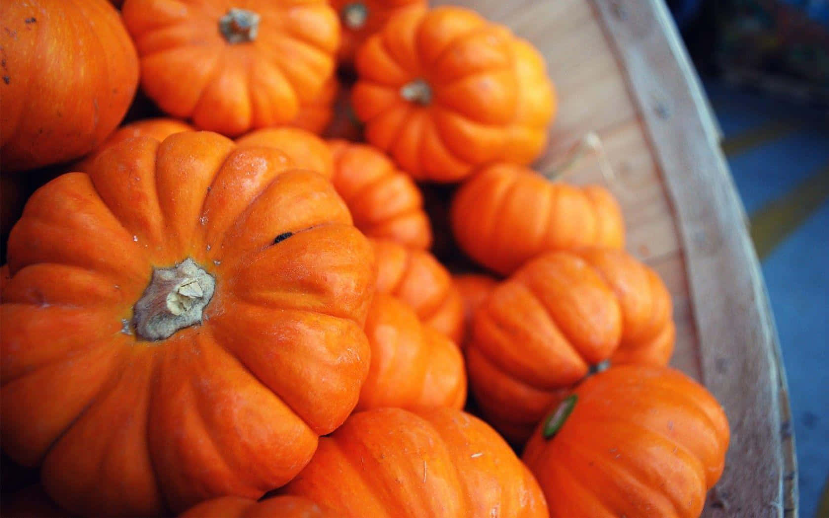 Celebrate The Season With A Carved Pumpkin. Background