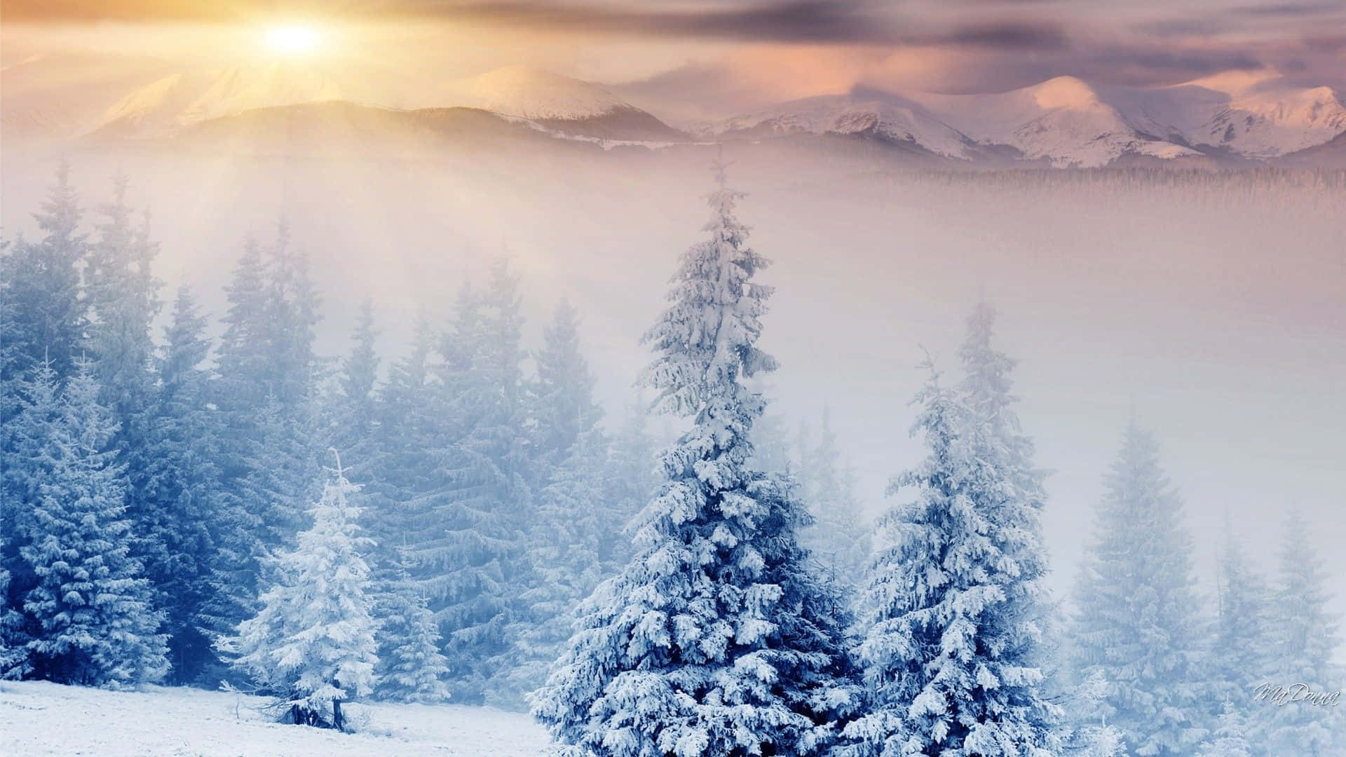 Celebrate The Warm And Cozy Vibes Of The Winter Season With A Beautiful Pastel Christmas! Background