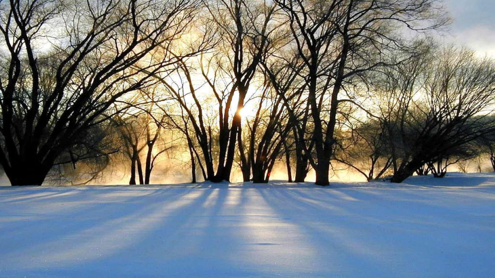 Celebrate The Winter Solstice With A Scenic Snowy Landscape Background