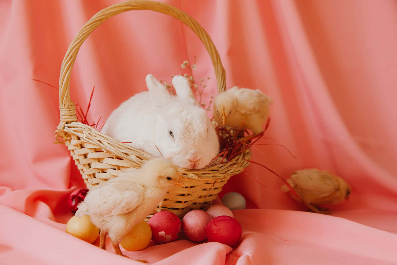 Celebrate This Easter With A Colorful Pastel Theme!