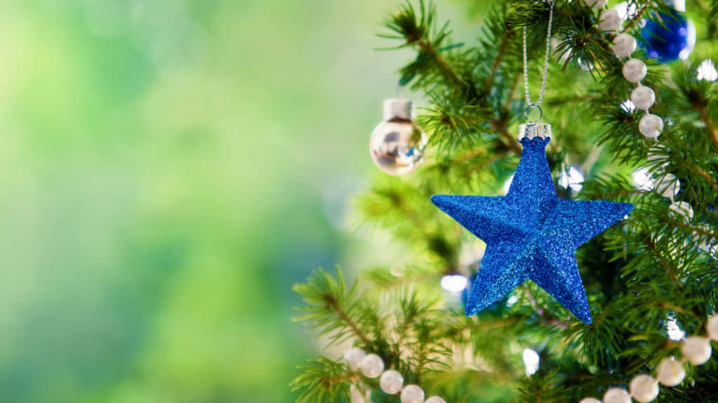 Celebrate This Holiday Season With A Beautiful Christmas Star