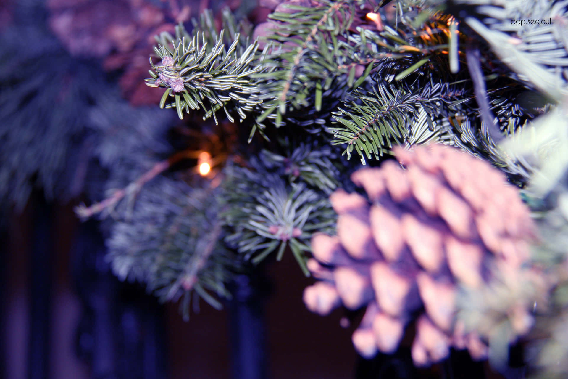 Celebrate This Pastel Christmas In Your Own Home! Background