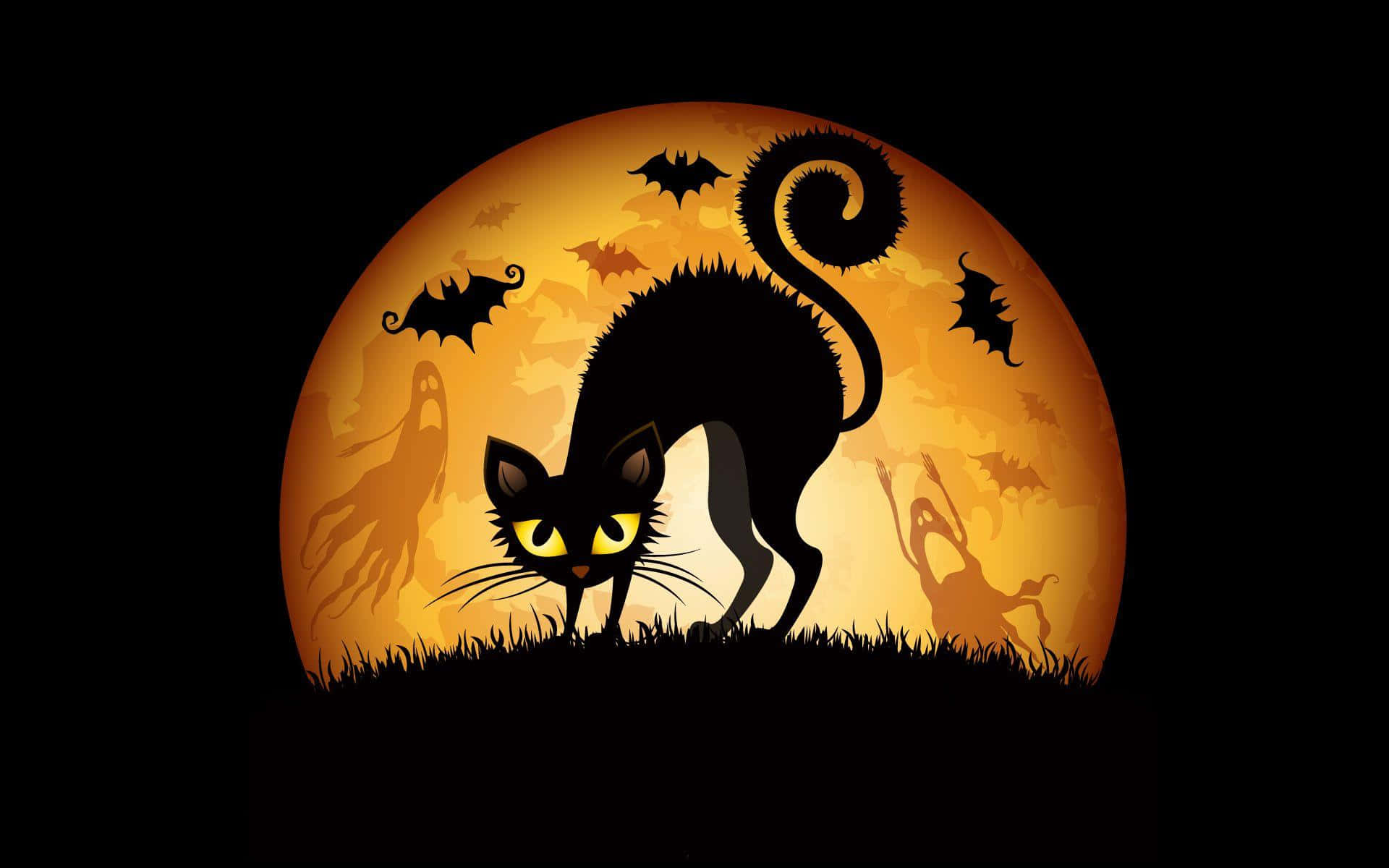 Celebrate This Season With A Black Cat, Just In Time For Halloween Background