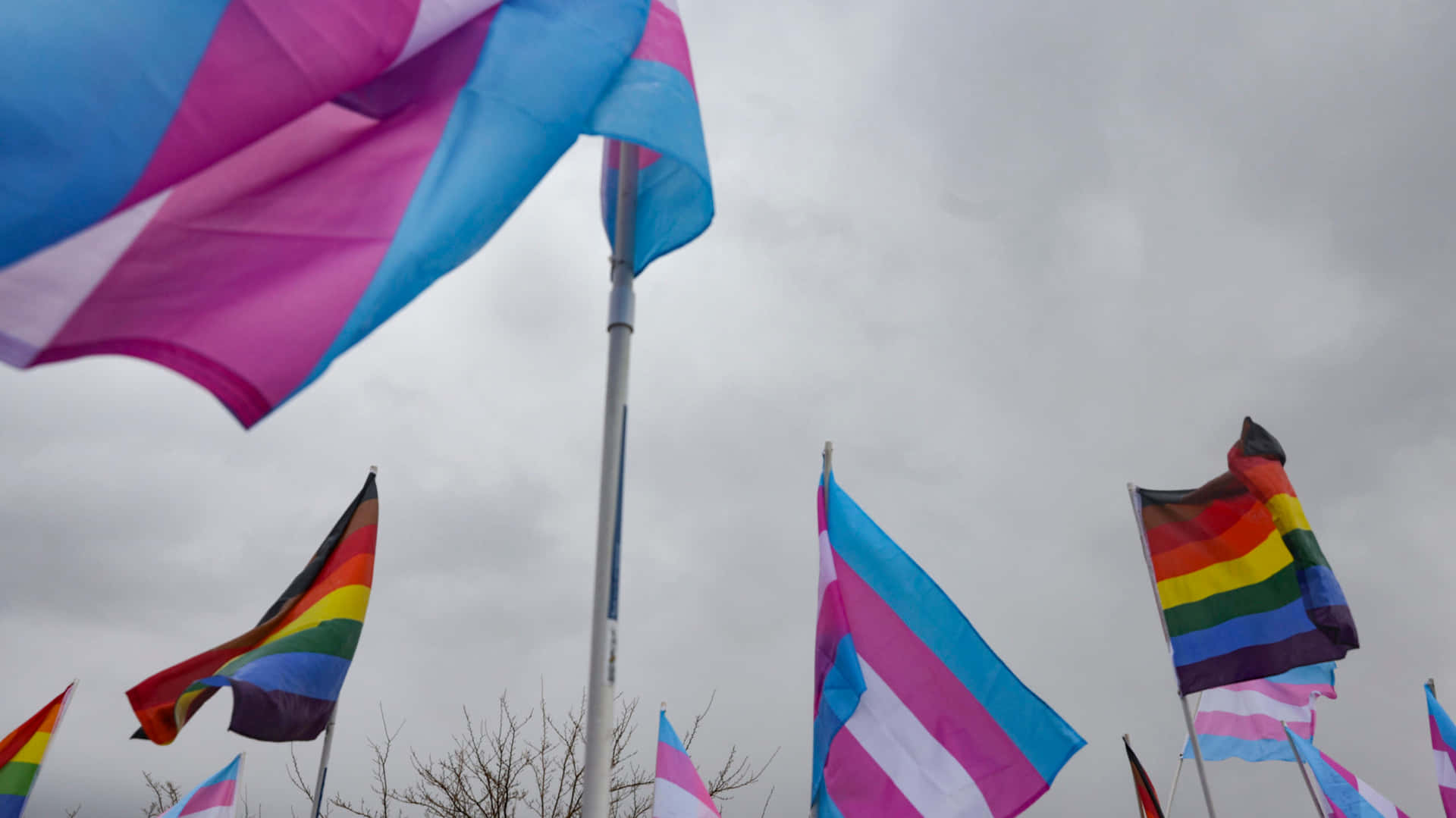 Celebrate Transgender Identity With The Trans Flag Background