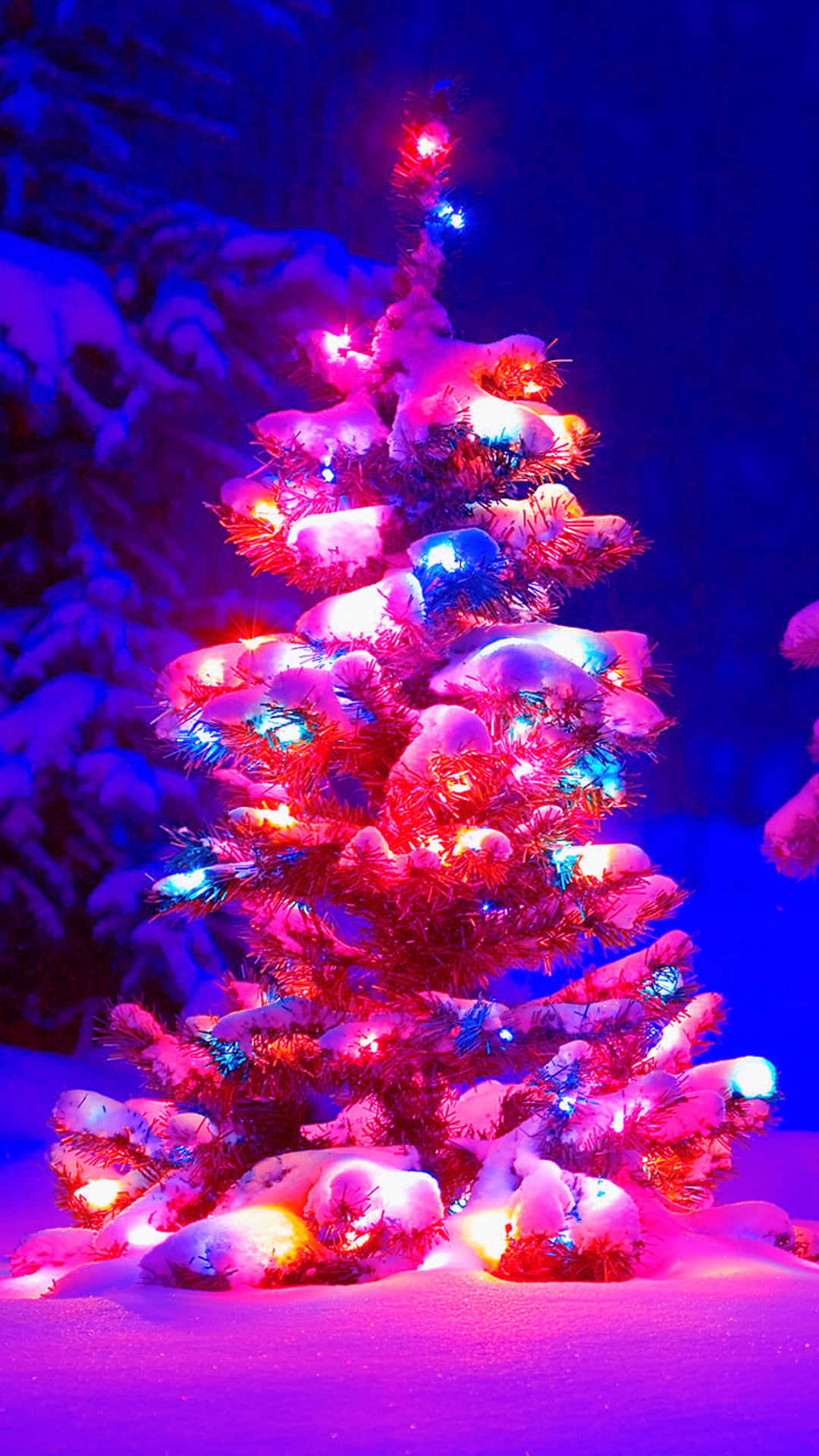 Celebrate Winter Wonderland Background