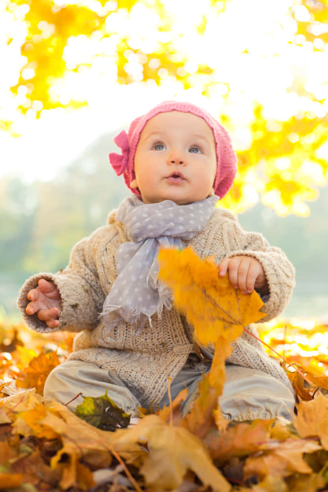 Celebrate Your Special Day With A Festive Fall Birthday. Background