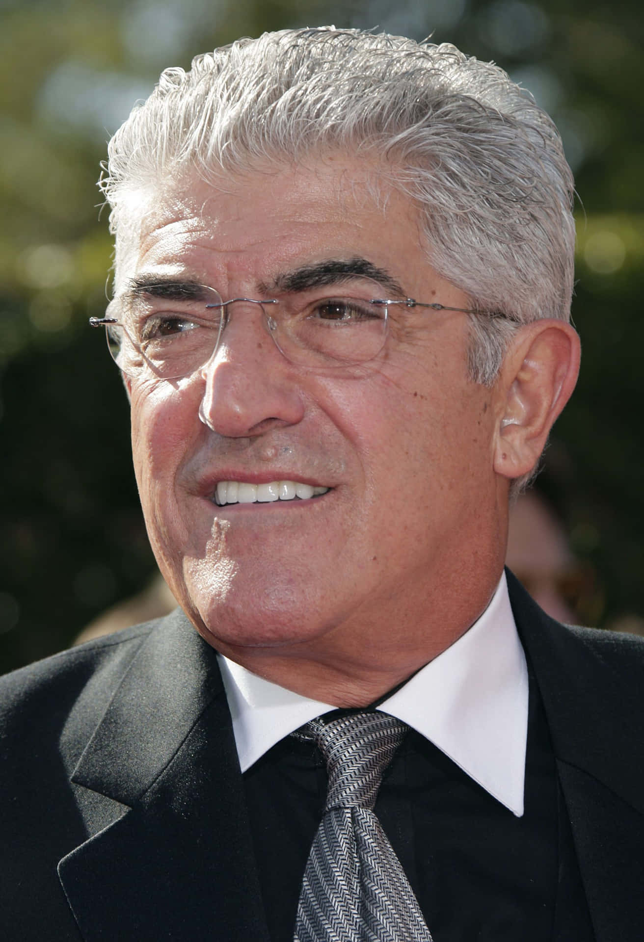 Celebrated American Actor Frank Vincent Background