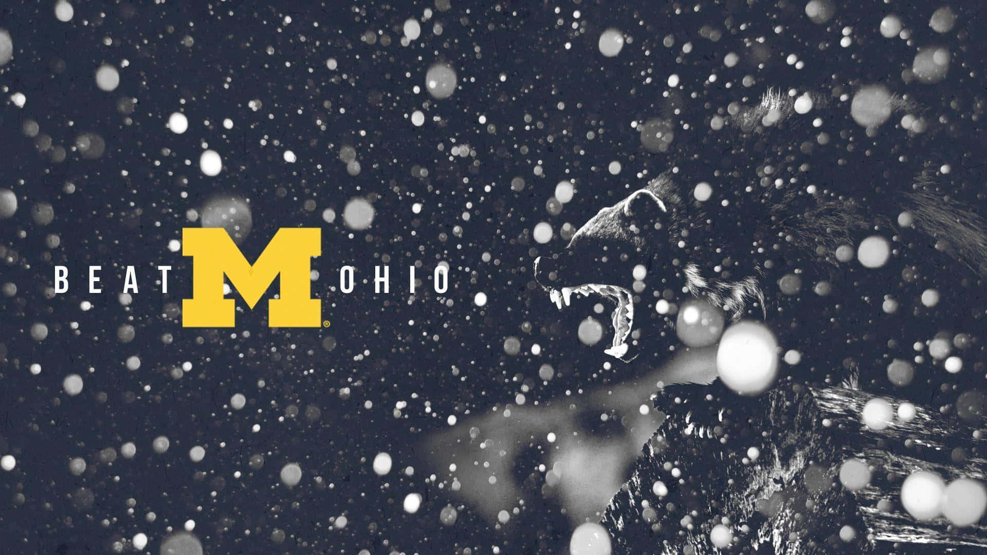 Celebrating Another Big Win On The University Of Michigan Wolverines Football Field Background