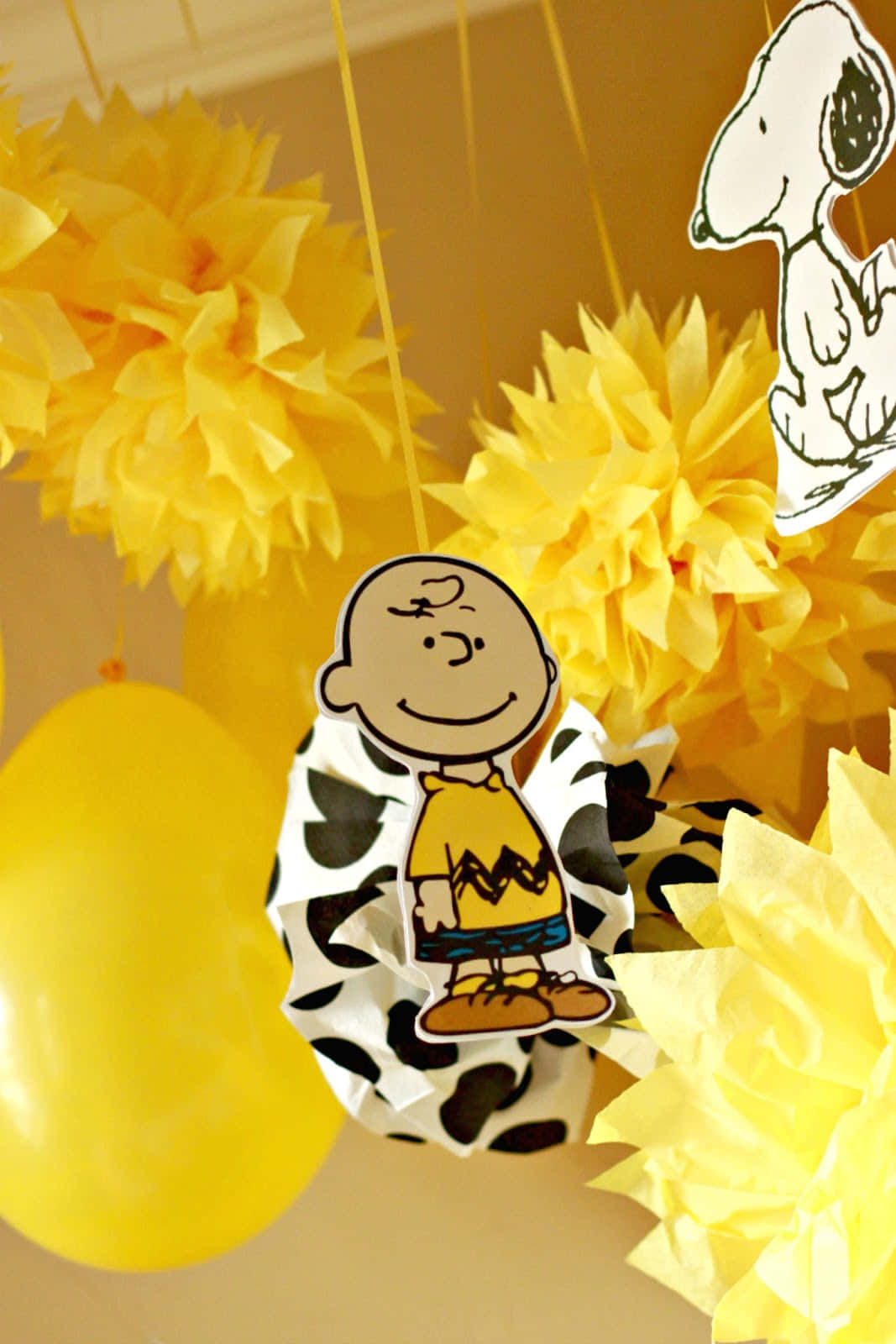 Celebrating Another Birthday With Charlie Brown! Background