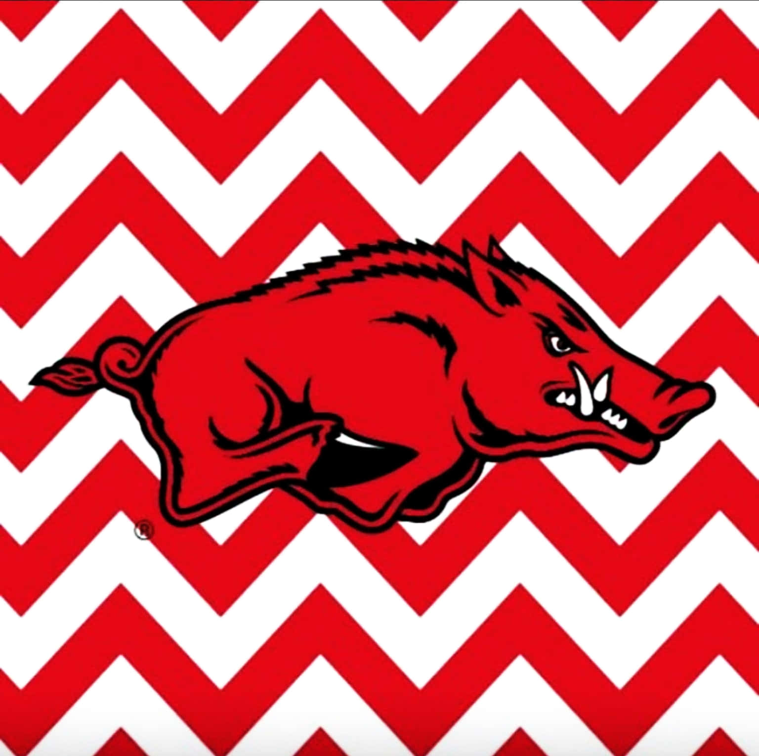 Celebrating Arkansas Razorbacks Football Background