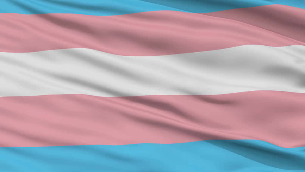 Celebrating Diversity & Pride - Trans Flag