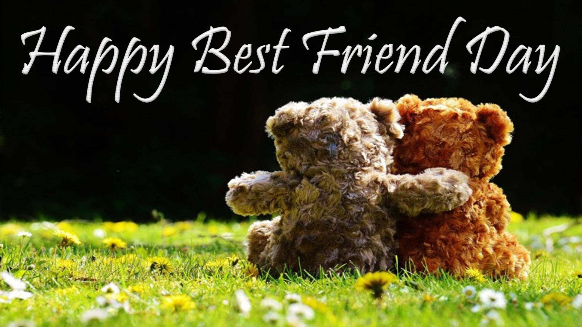 Celebrating Friendship Day With Teddy Bear Hugs Background