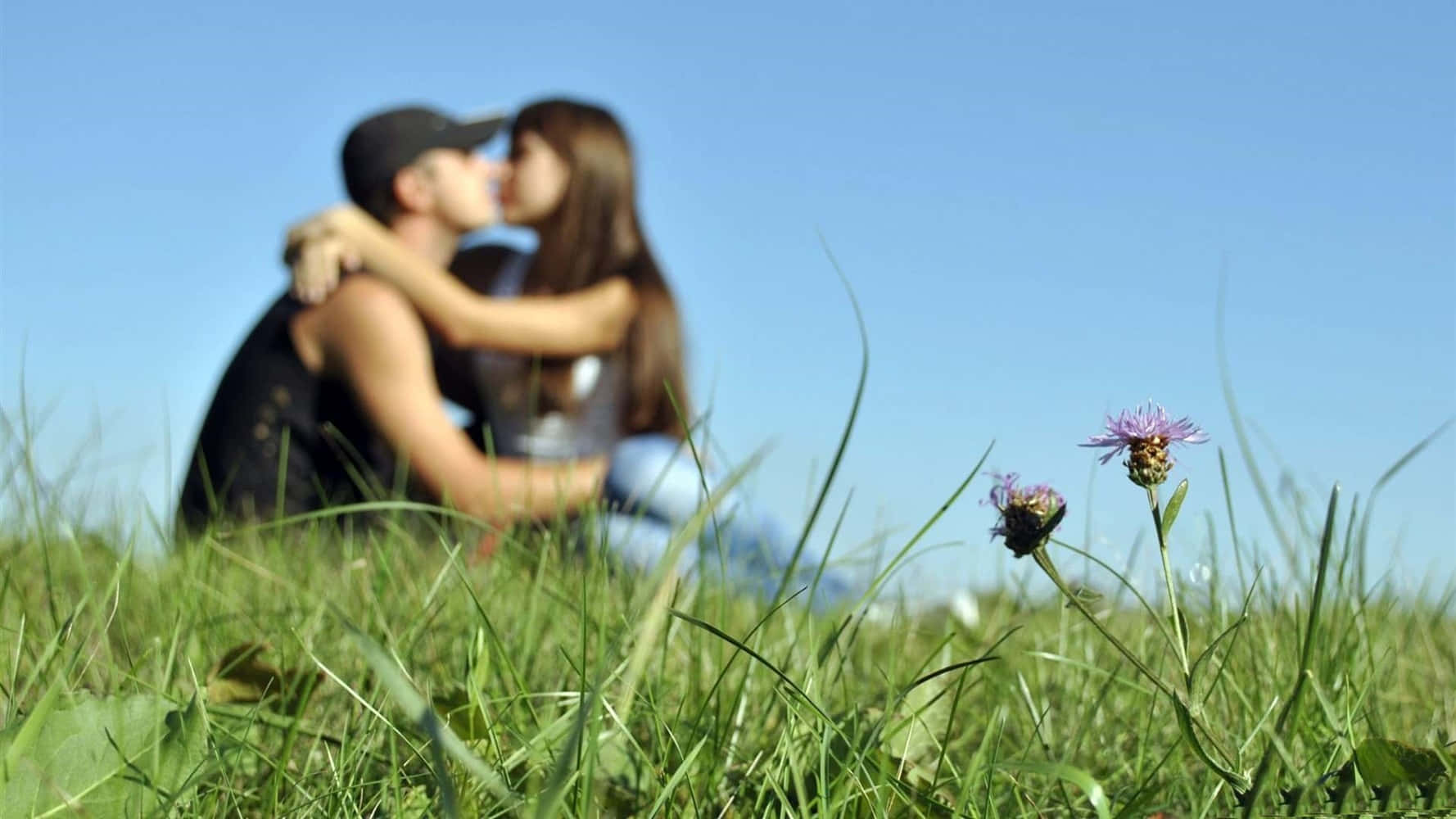 Celebrating Love Together Background