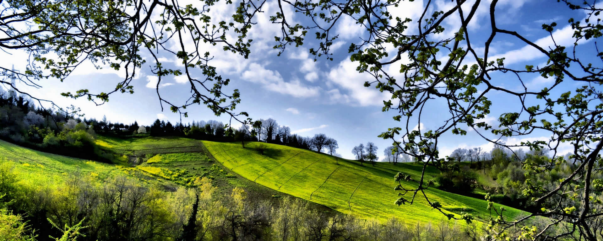 Celebrating The Day's Brightness With Spring Background