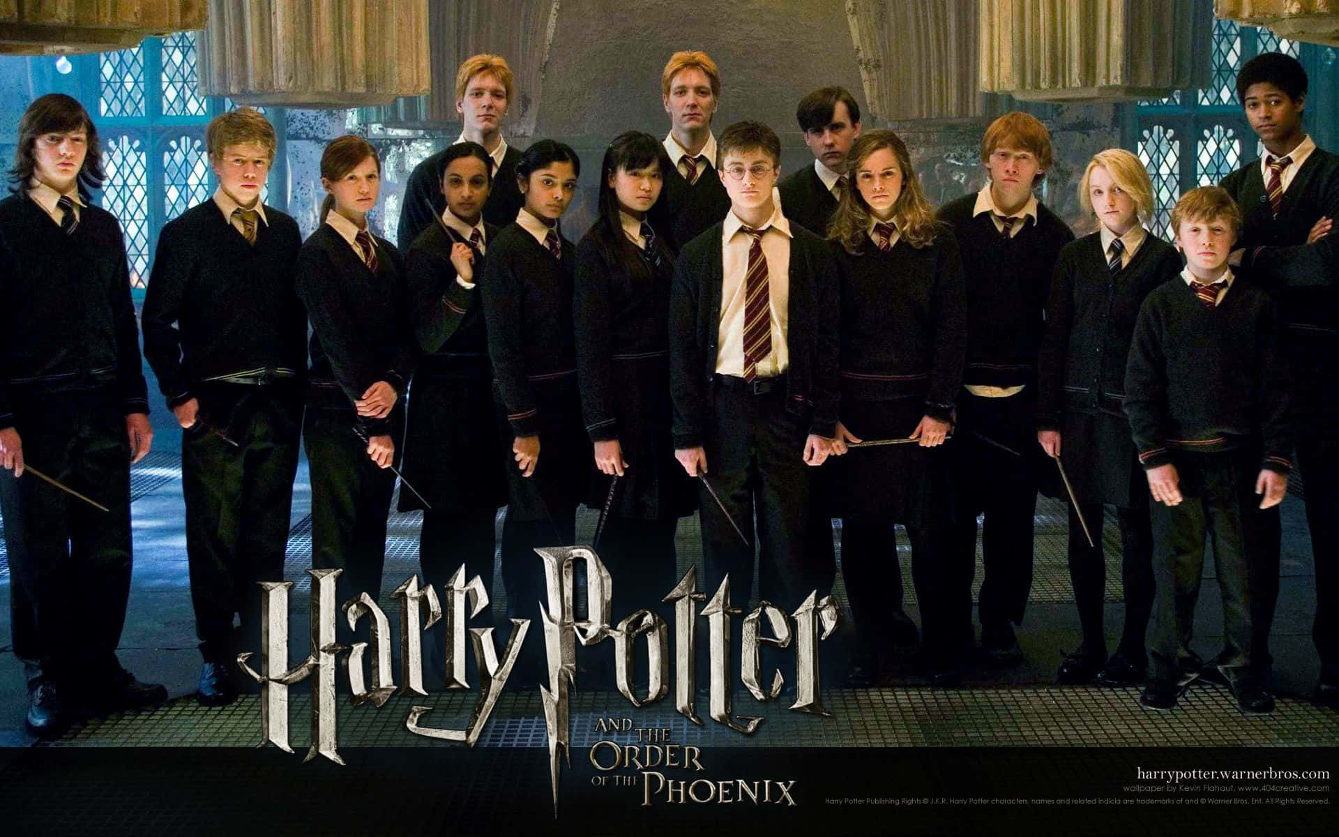 Celebrating The Harry Potter Universe: All Characters Unite Background