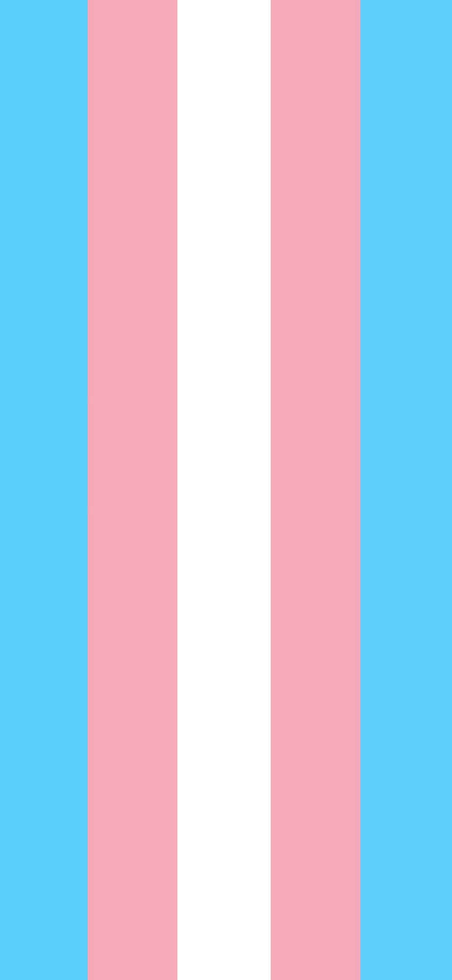 Celebrating Transgender Pride