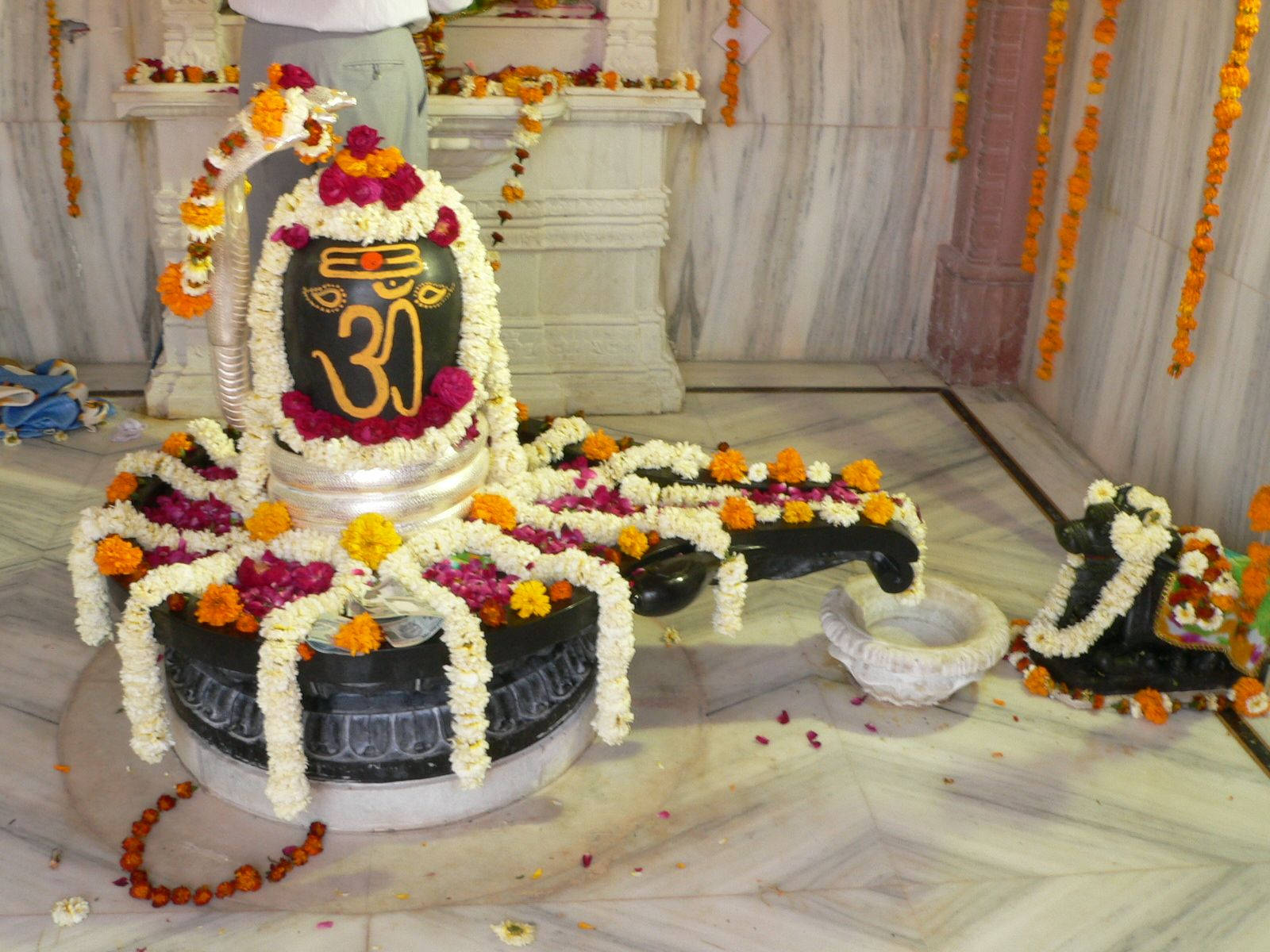 Celebratory Flower Offering Shiva Lingam Background