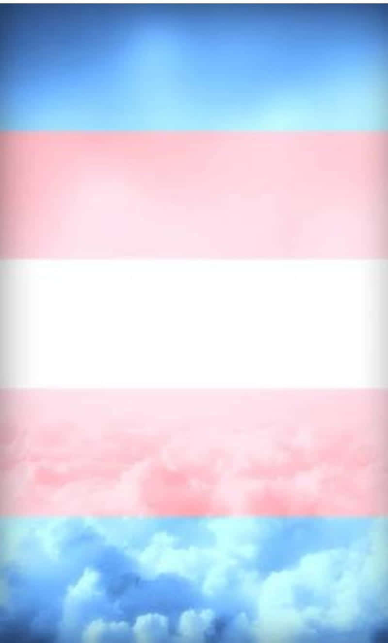 Celebratory Trans Flag