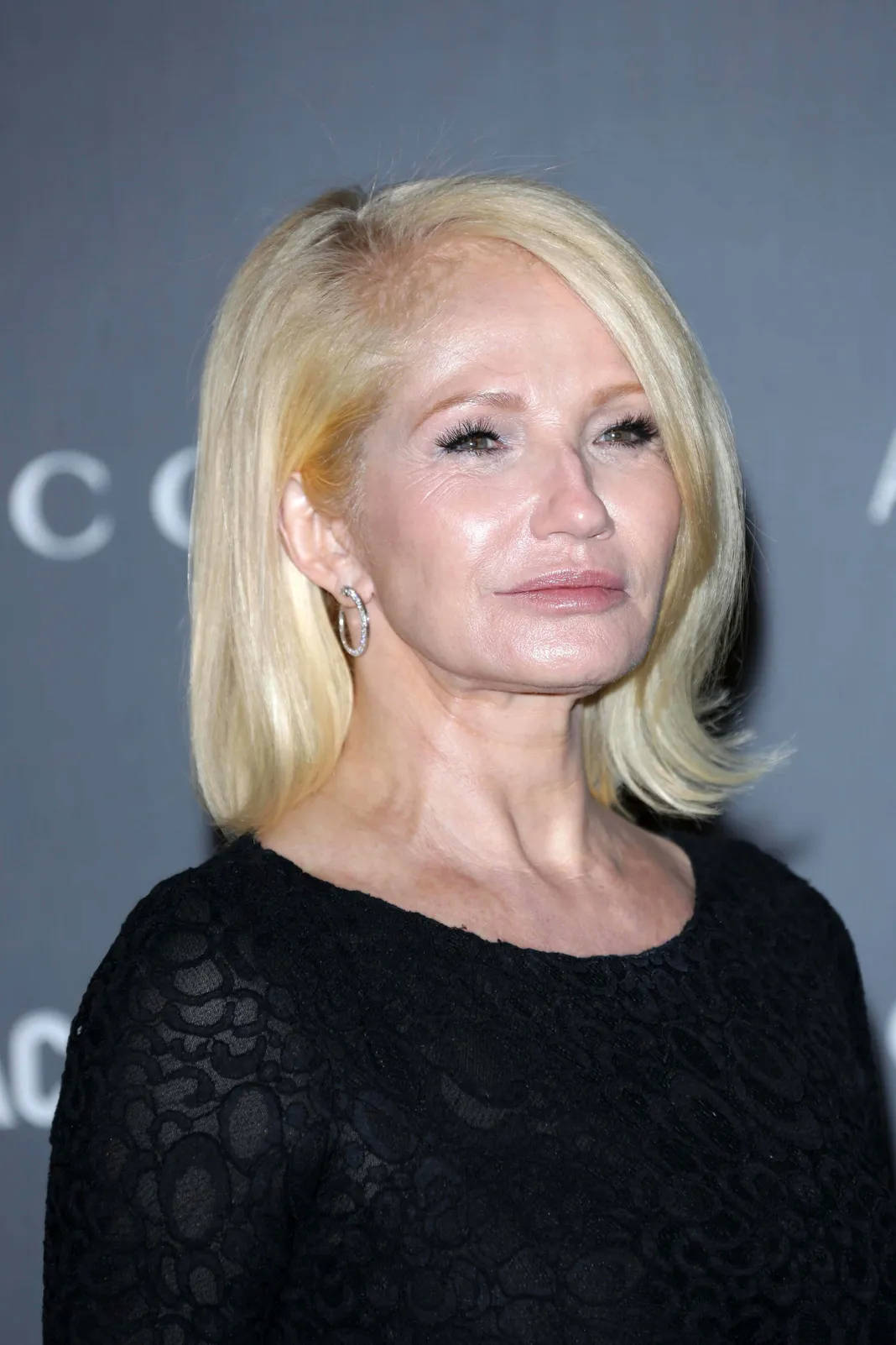 Celebrity Ellen Barkin