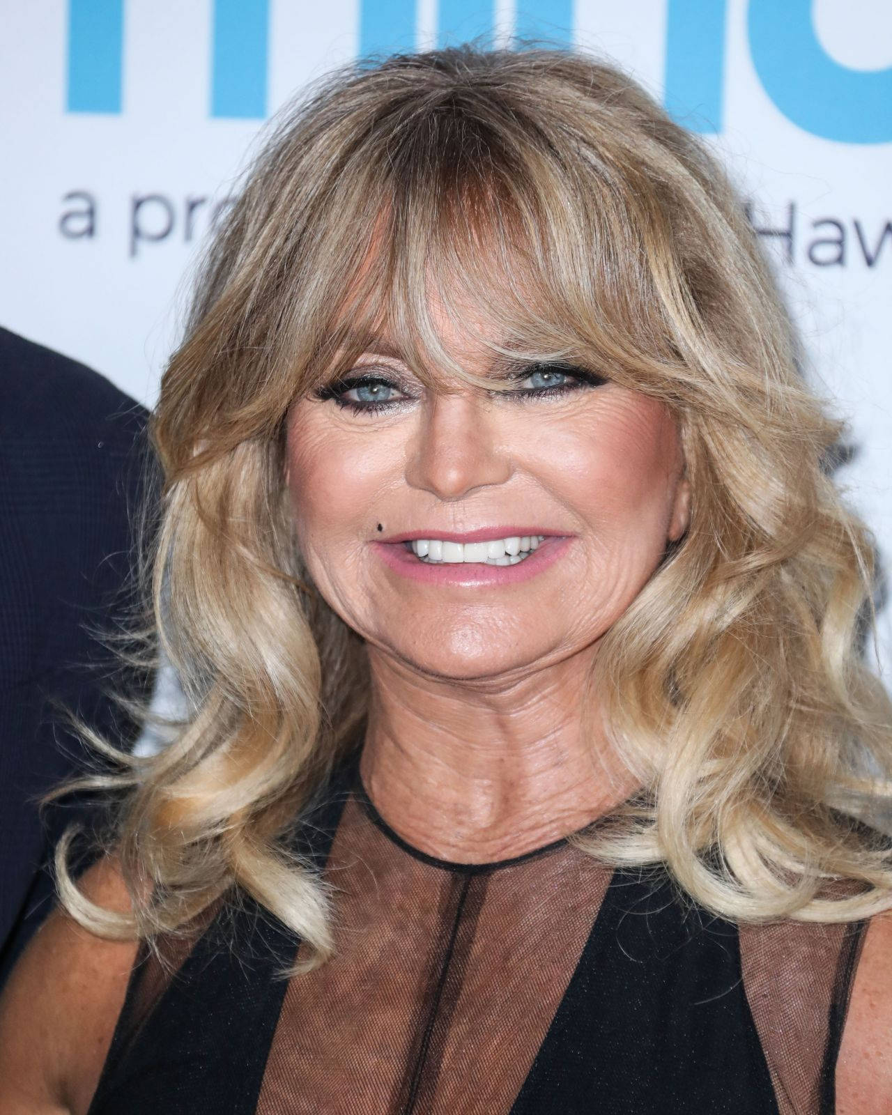 Celebrity Goldie Hawn Actress Background