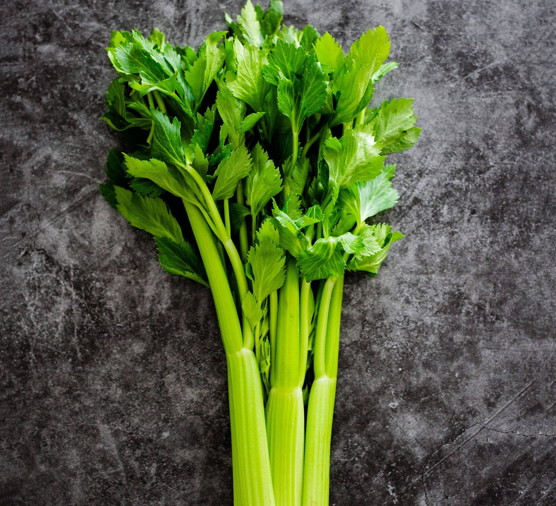 Celery Leaves On Granite Surface Background