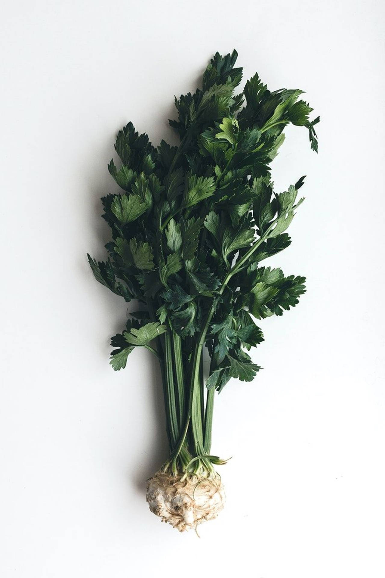 Celery Root Vertical Flat Lay Background