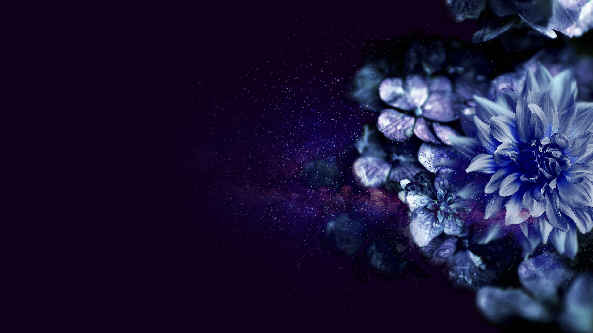 Celestial Bloom - Purple Flower In Space Background