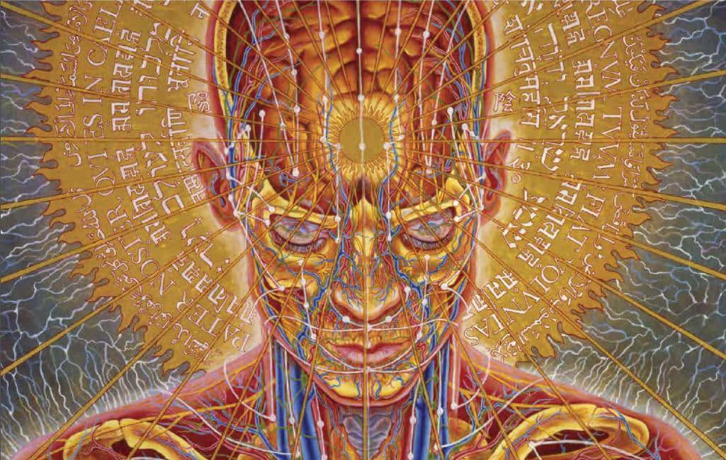 Celestial Psychedelic Artwork By Alex Grey Background