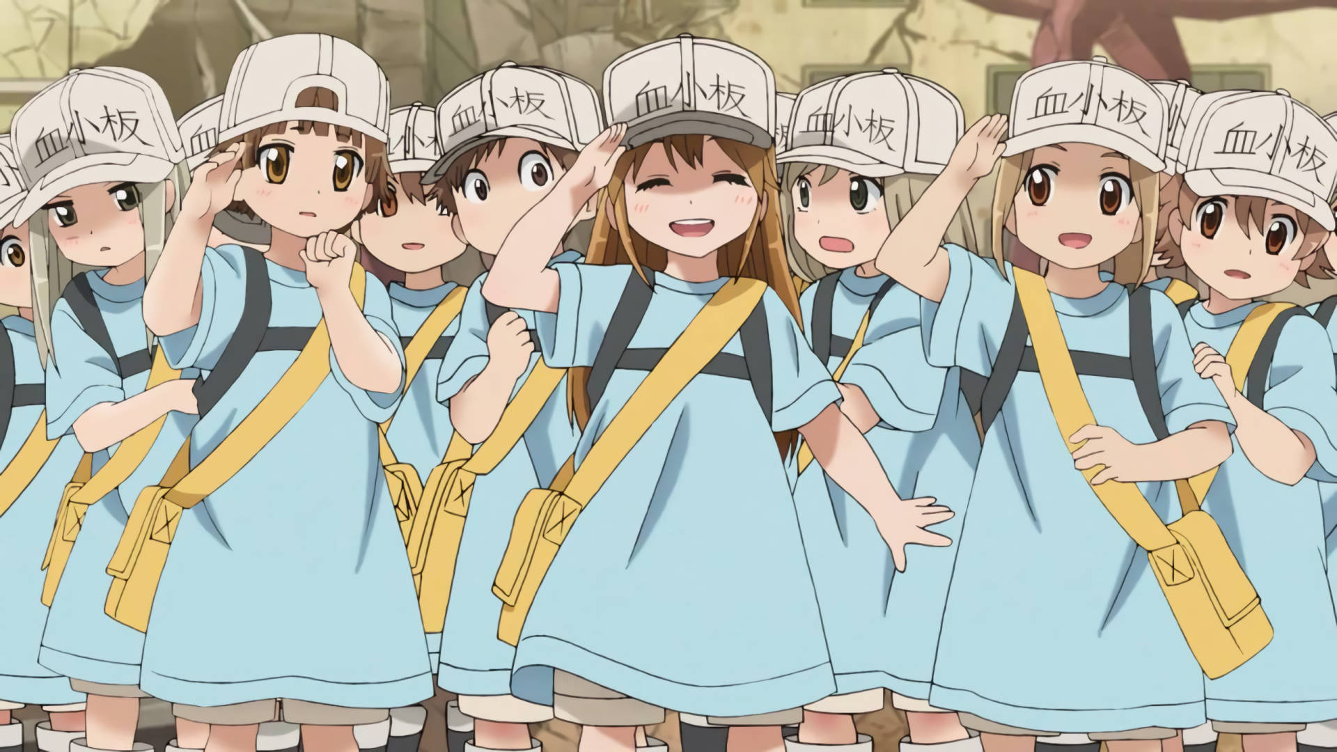Cells At Work Platelet Division Background