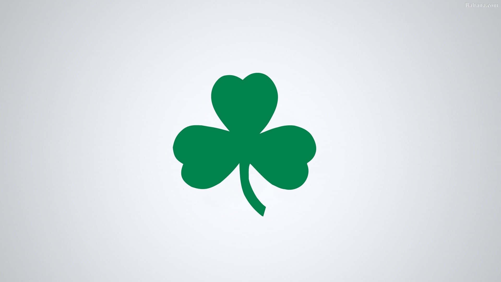 Celtics Logo Clover