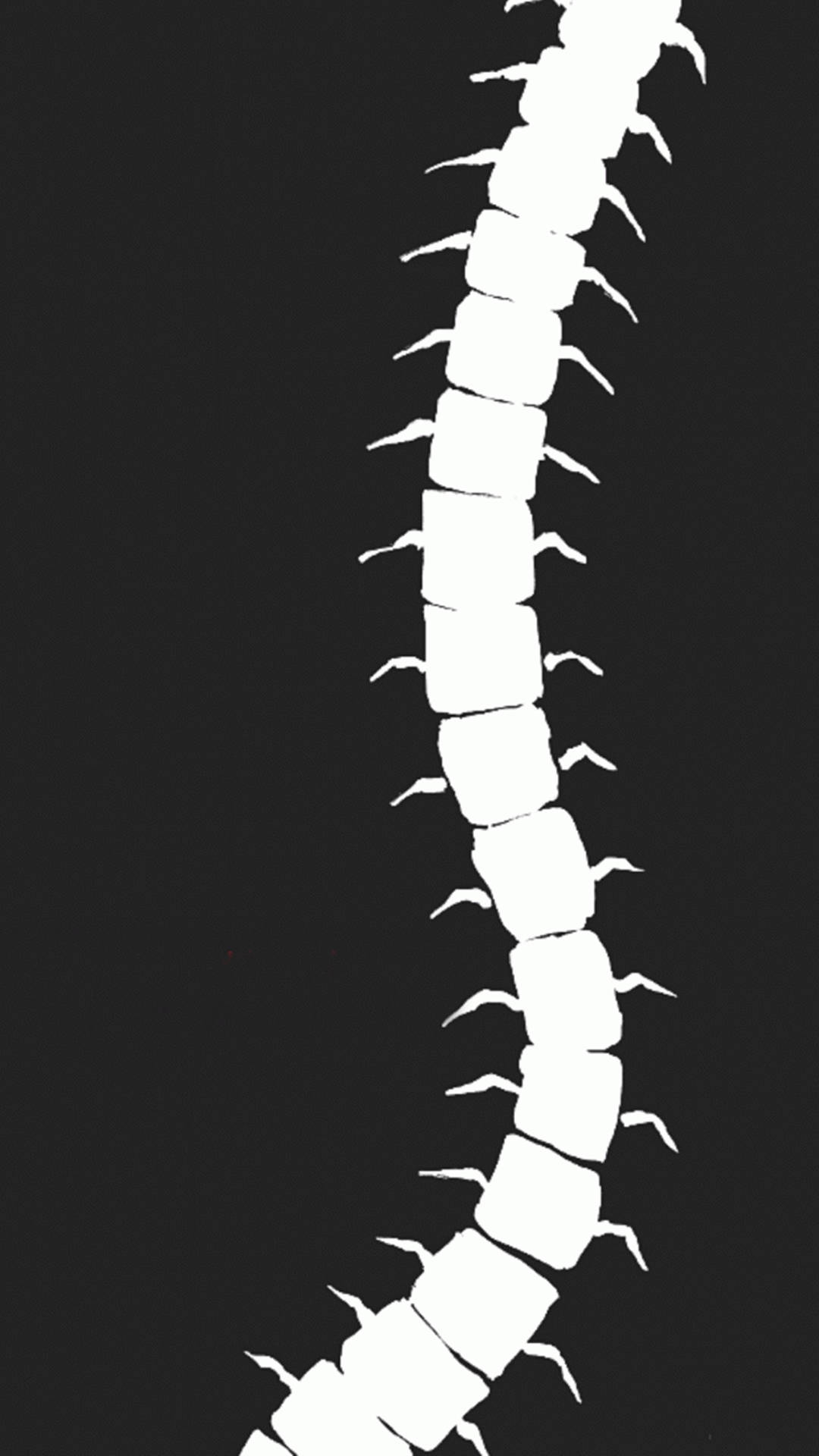 Centipede Drawing Black And White Background