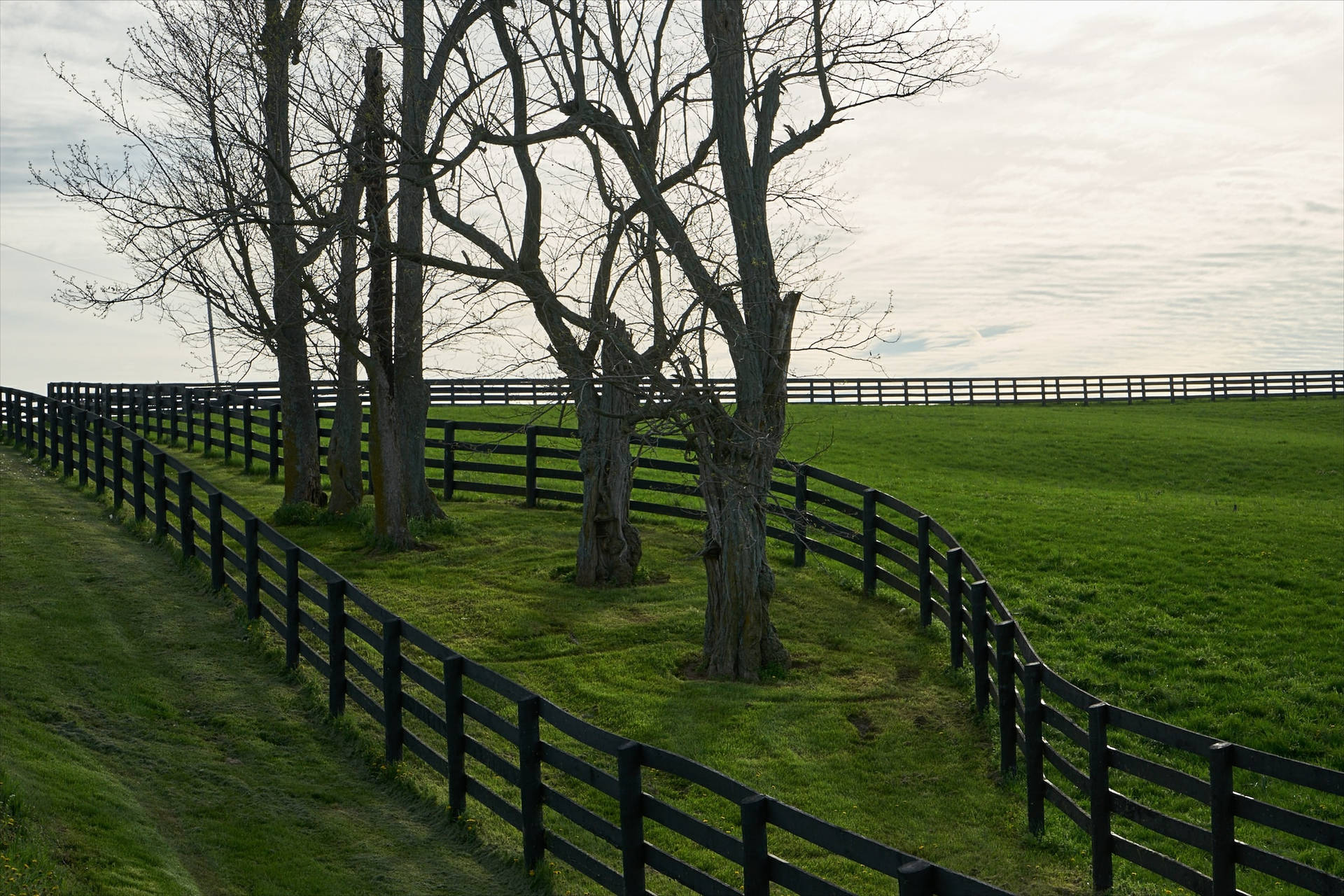 Central Kentucky Farm Background