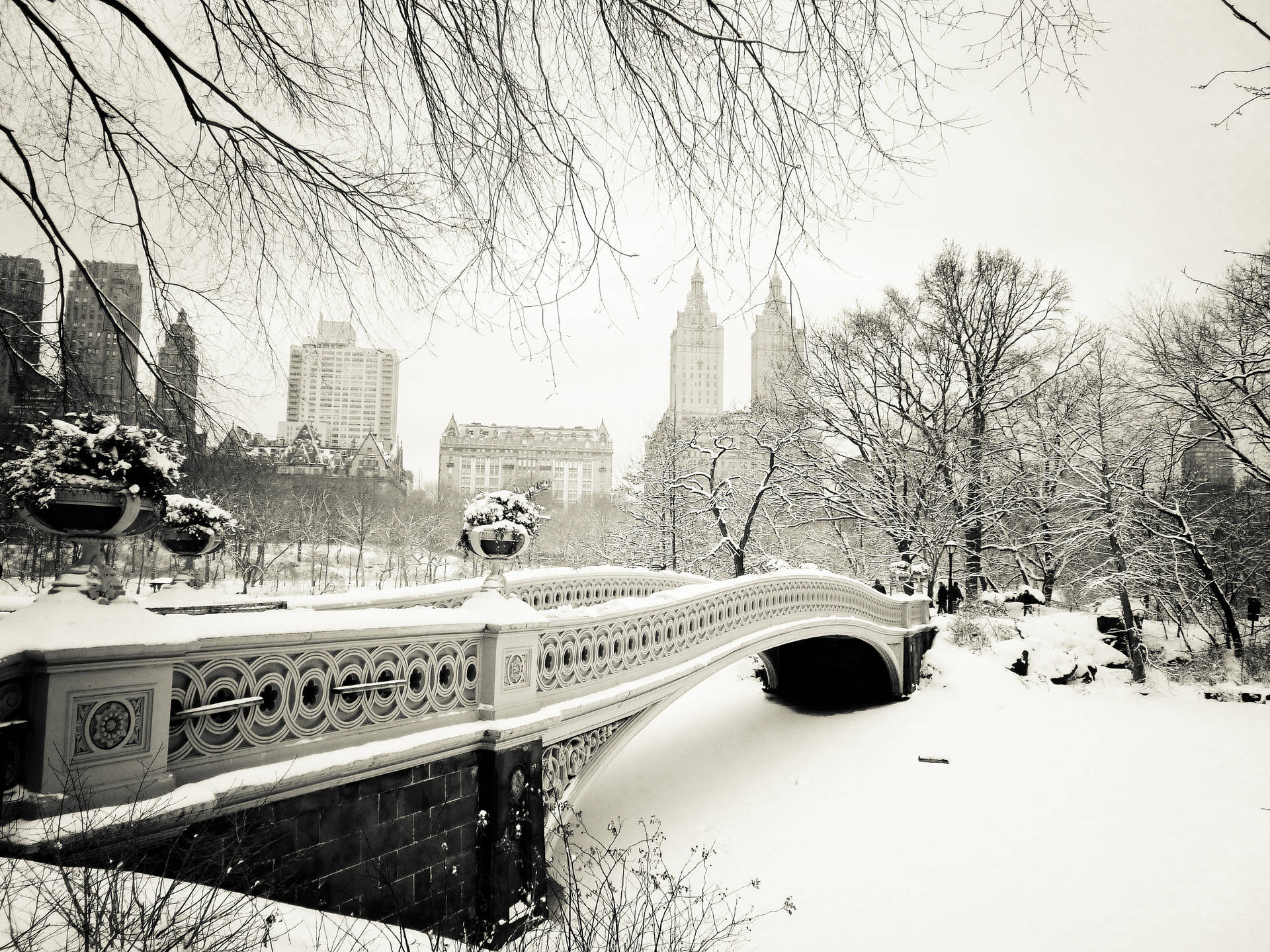 Central Park Bridge New York Black And White Background