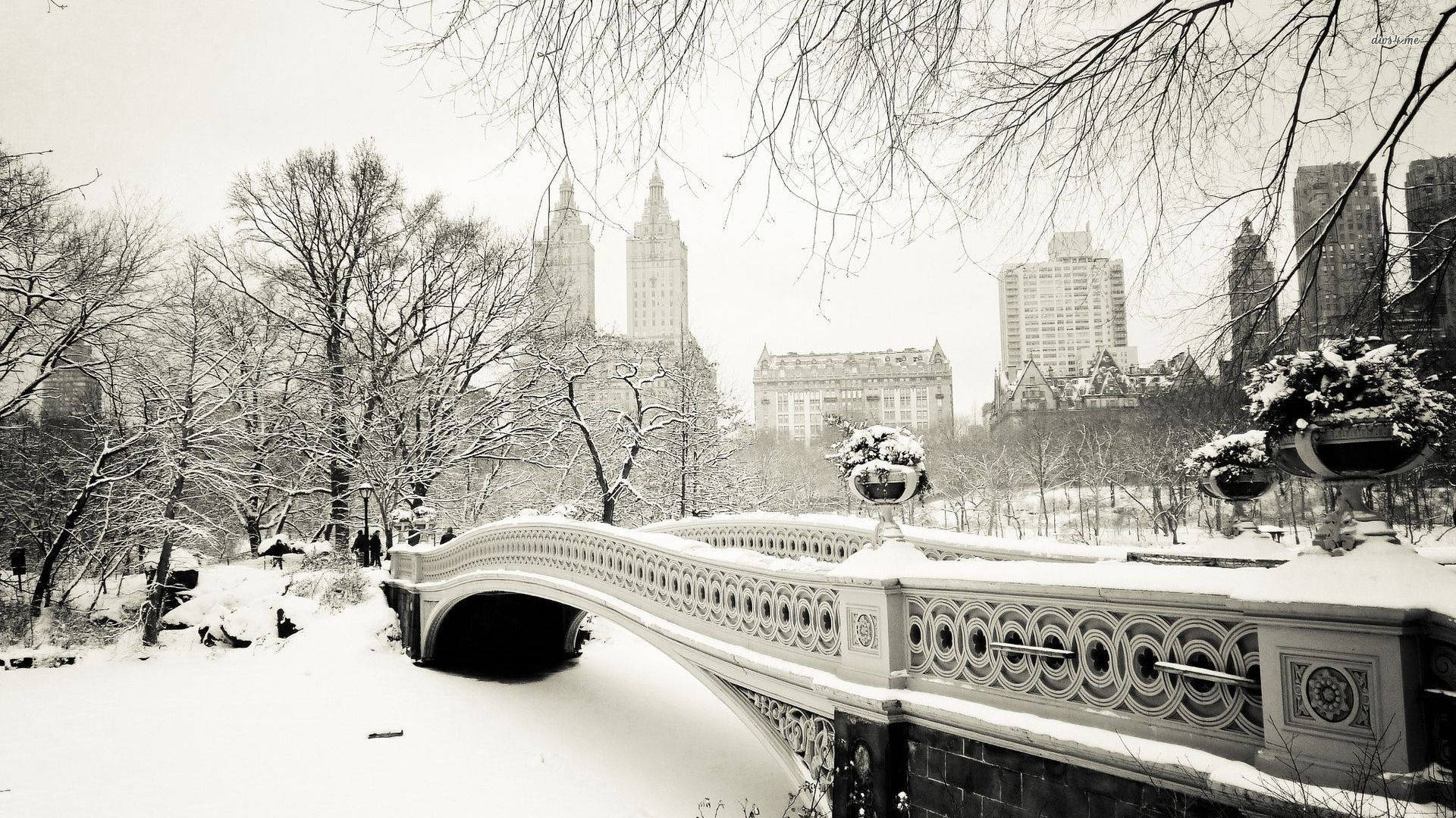 Central Park Bridge New York Computer Background