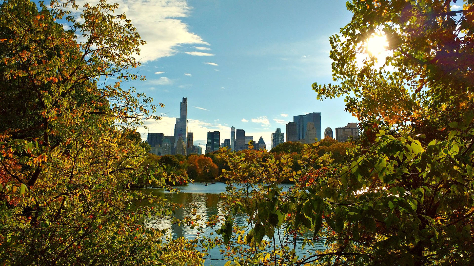 Central Park Cityscape Framed By Trees Background