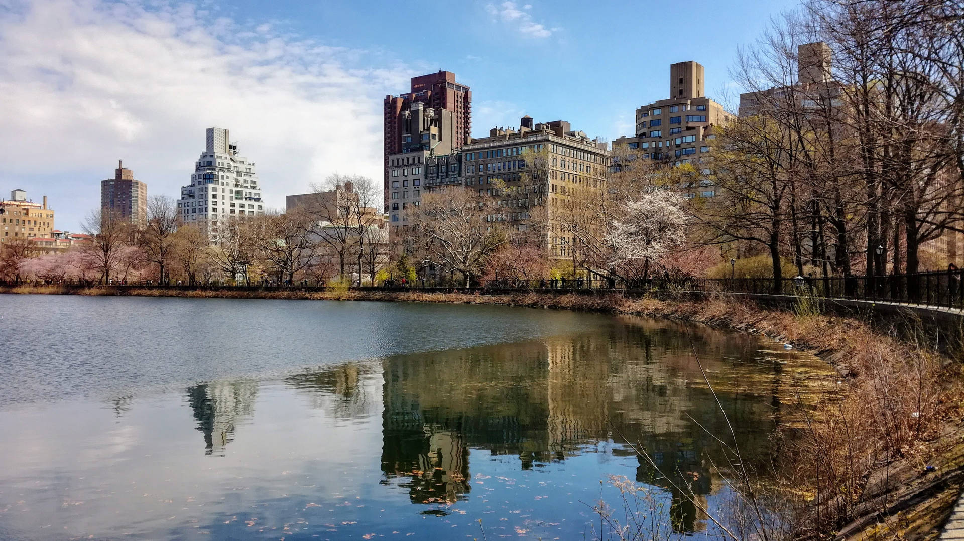 Central Park Lake Landscape Background