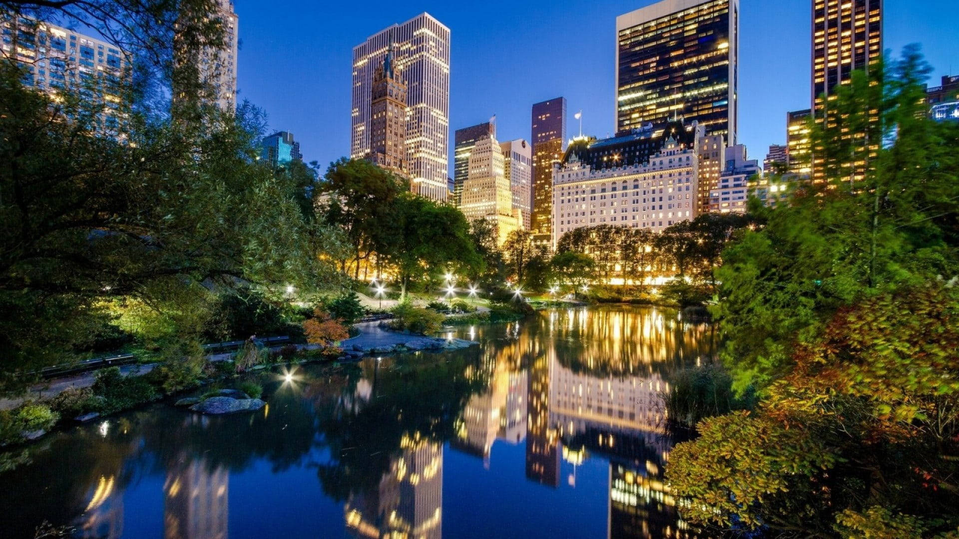 Central Park Lake New York Night Iphone Background