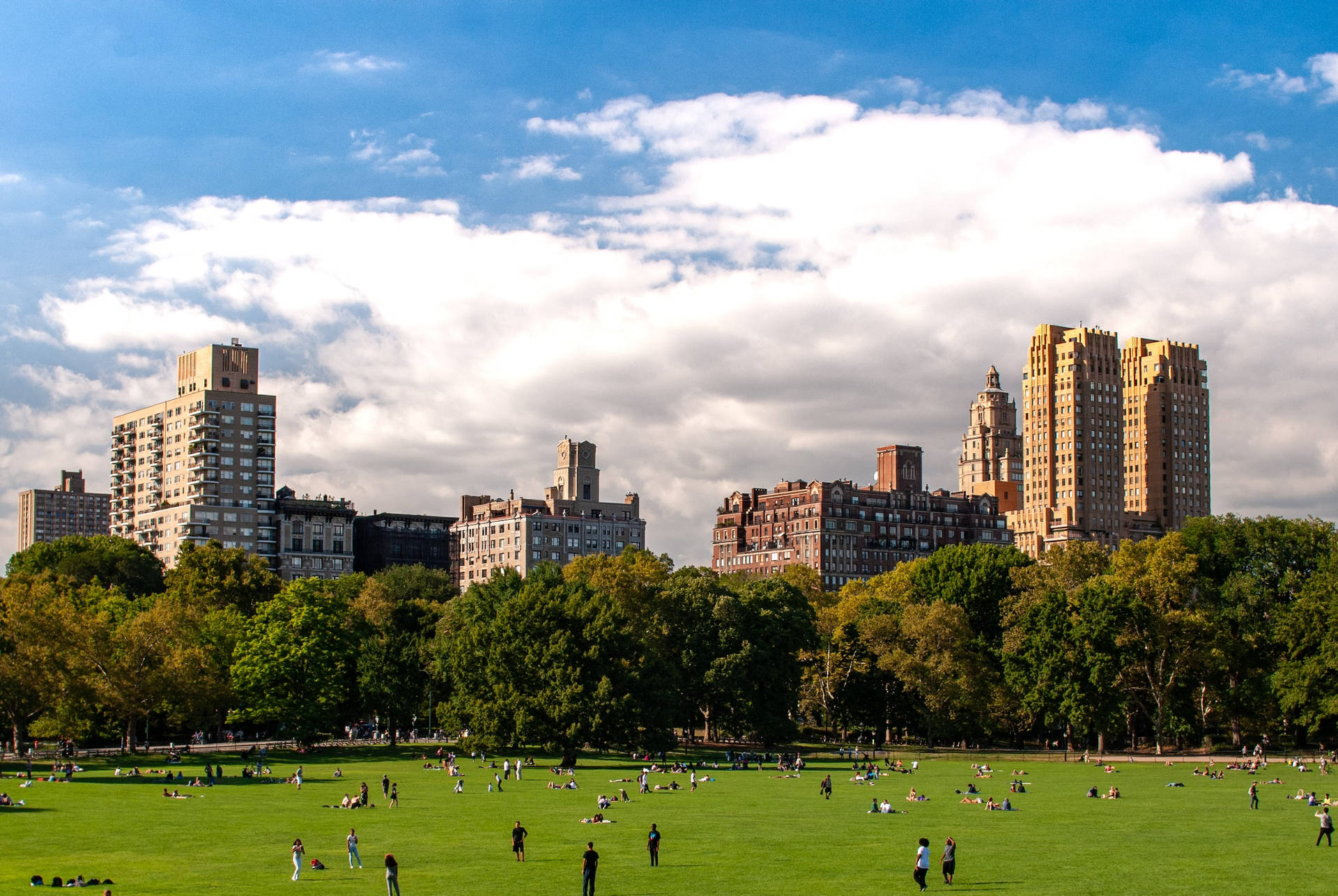 Central Park Landscape Background