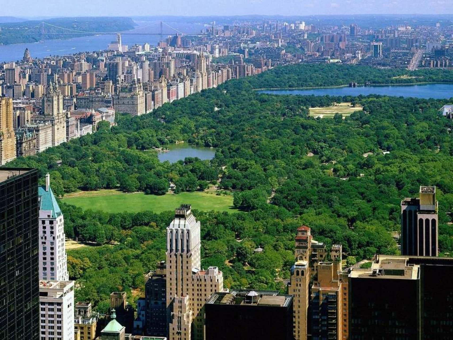 Central Park New York City Laptop Background