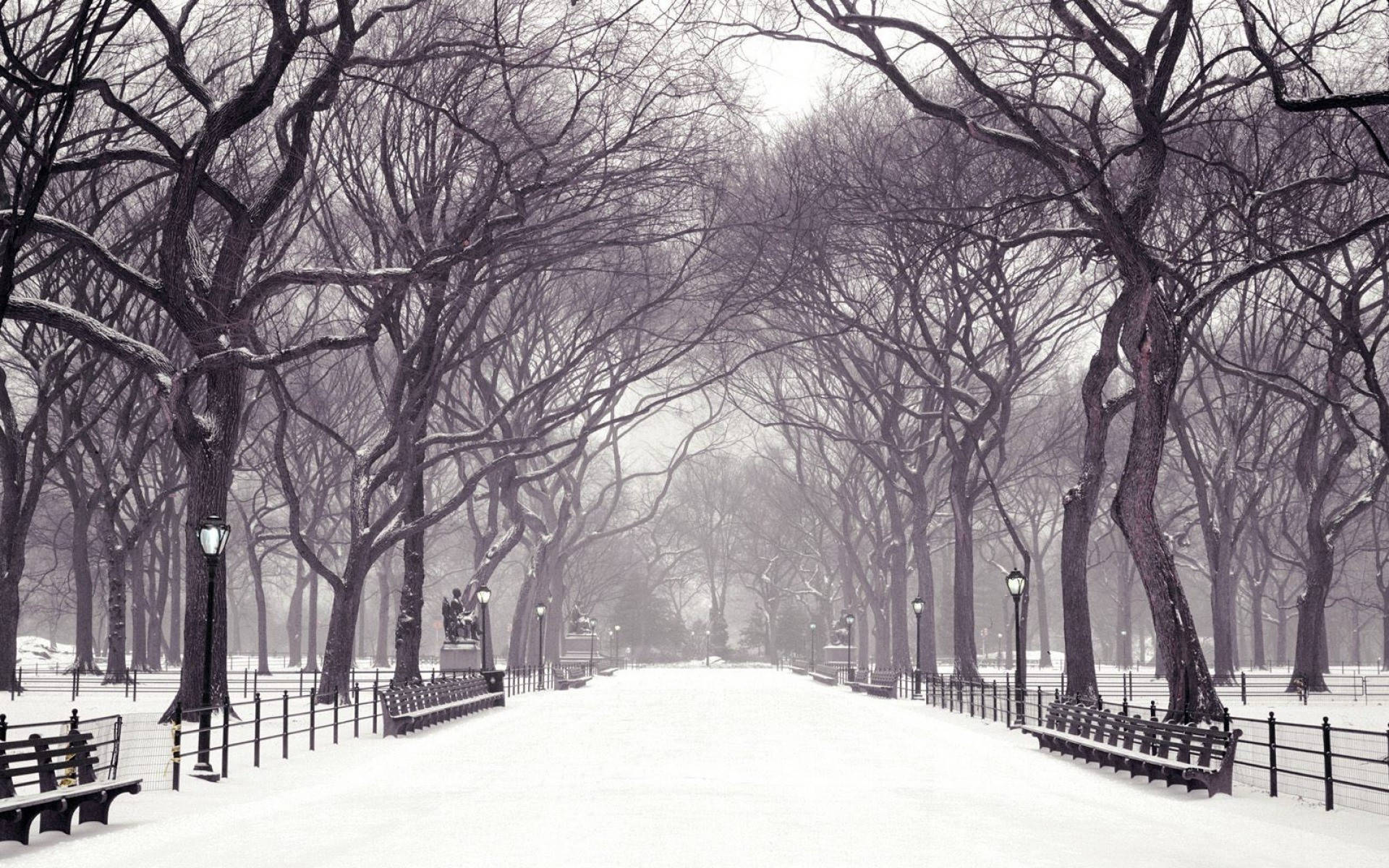 Central Park Winter Desktop
