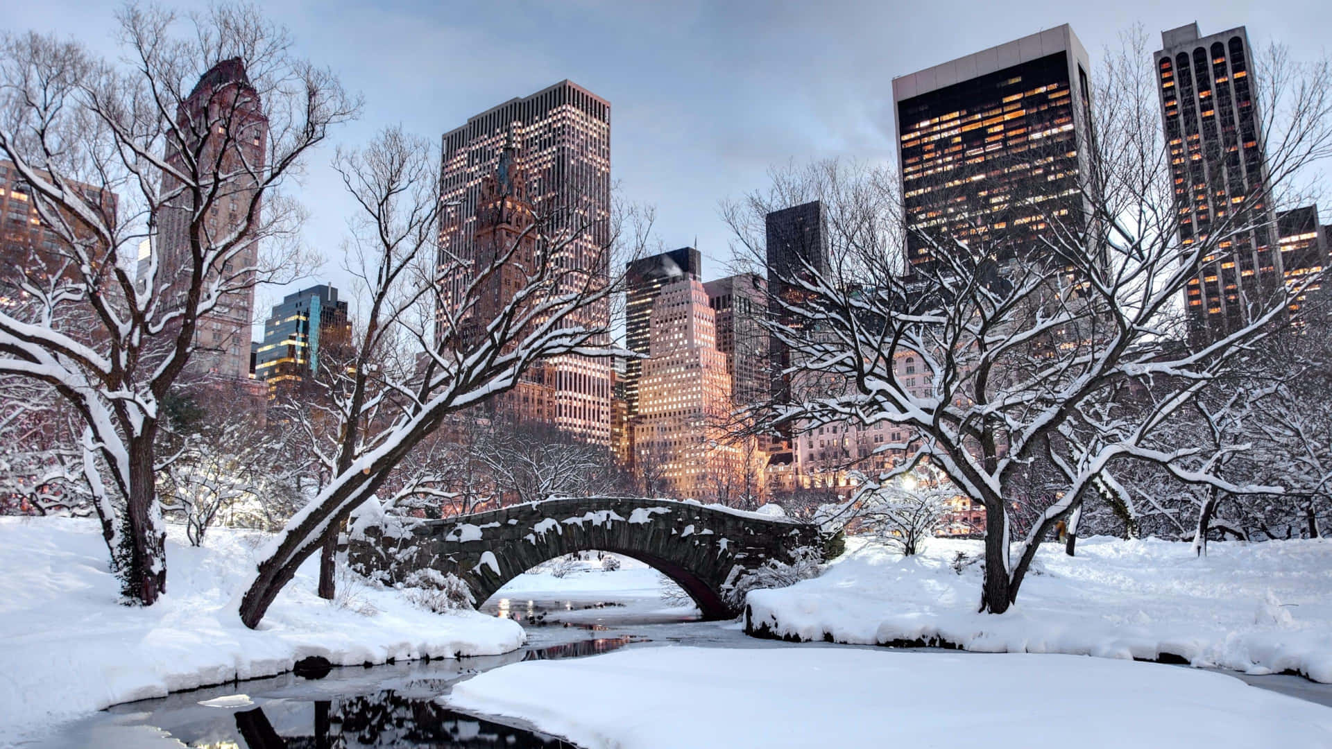 Central Park Winter Scenery Desktop Background