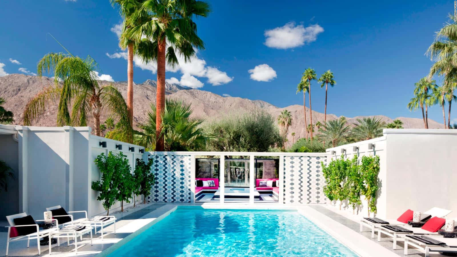 Century Palm Springs Pool Background