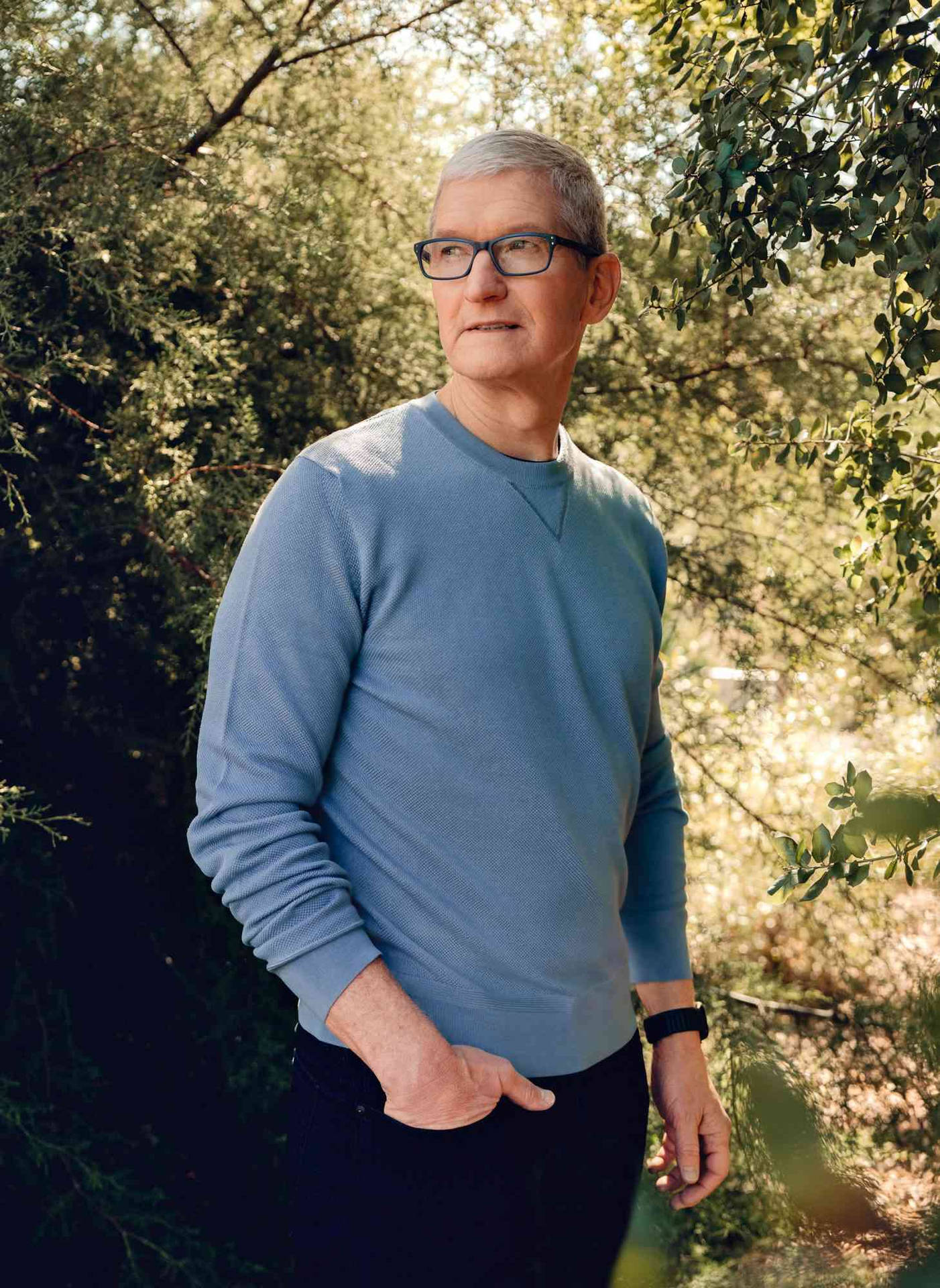 Ceo Tim Cook Exploring Apple Park Background