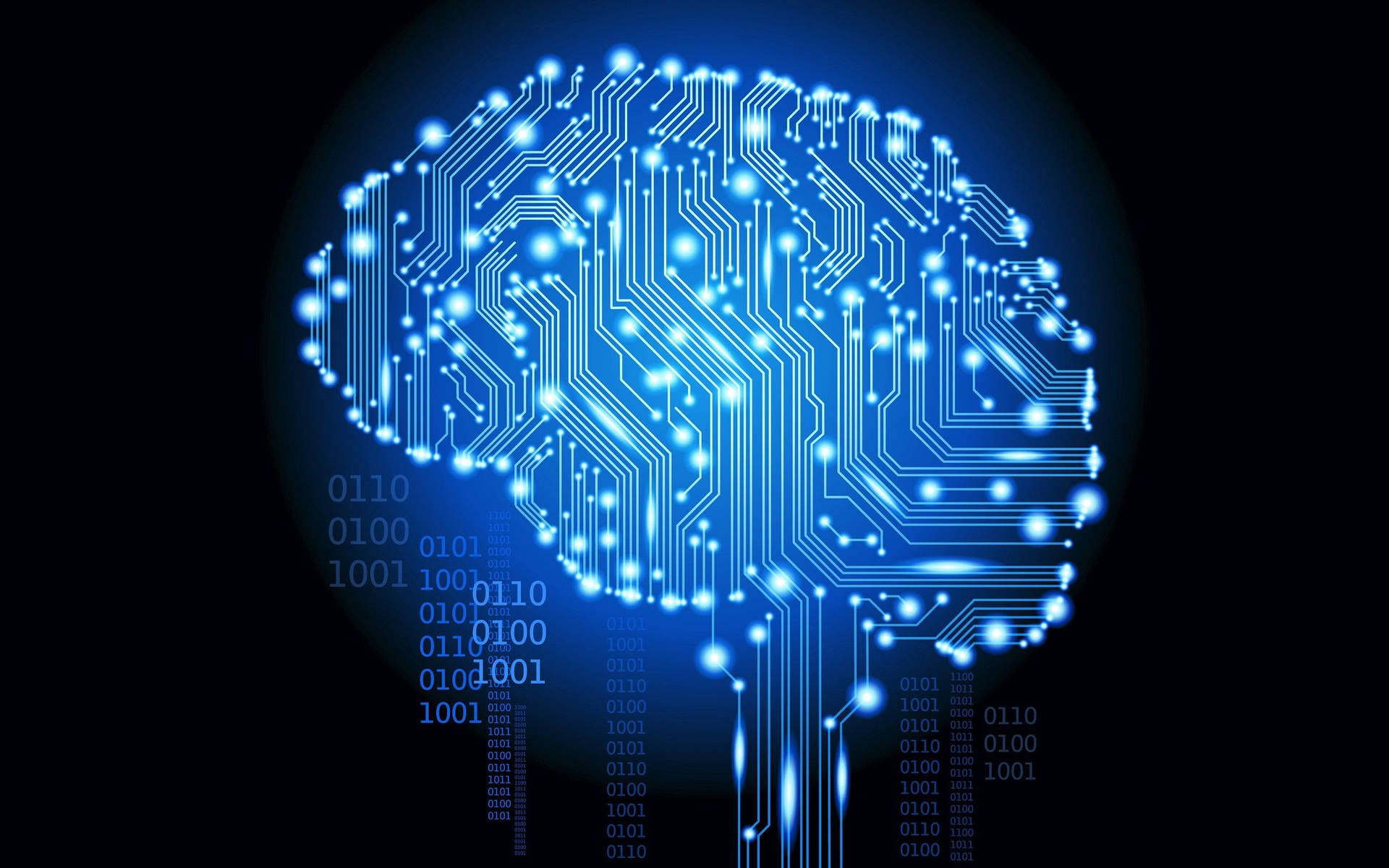 Cerebral Cortex Circuit Black Background