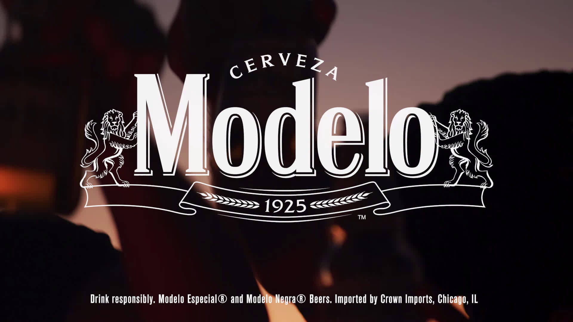 Cervesa Modelo Especial Brand Logo Background