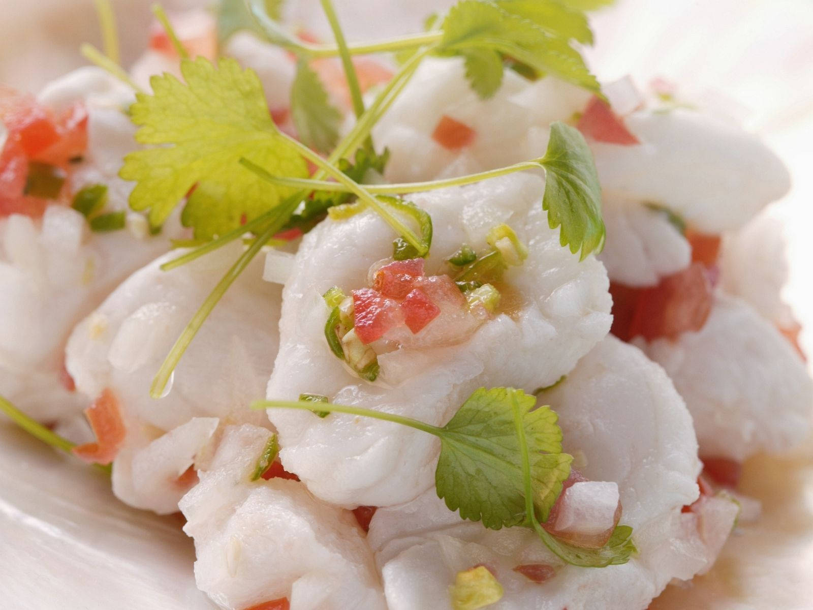 Ceviche Raw Fish Meat Close-up Background