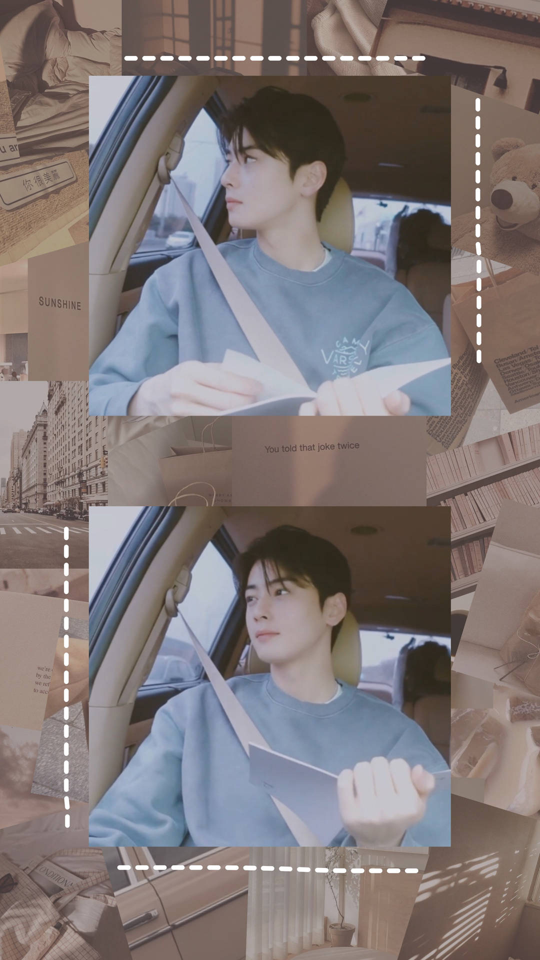 Cha Eun Woo Aesthetic Fan Edit